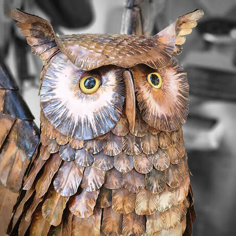 copper owl