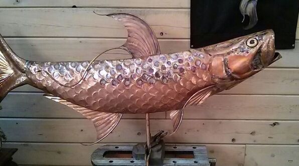  copper tarpon fish