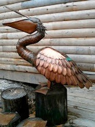 copper pelican